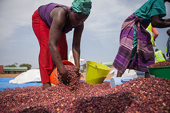 Woman in South Sudan at Food Distribution site