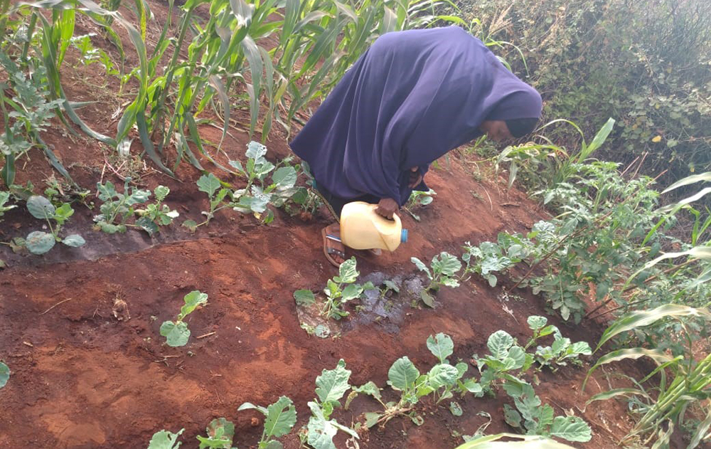 ADRA Watering Kitchen Gardening