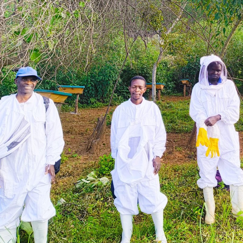 ADRA Canada Gift Catalogue - Boost Beekeeping