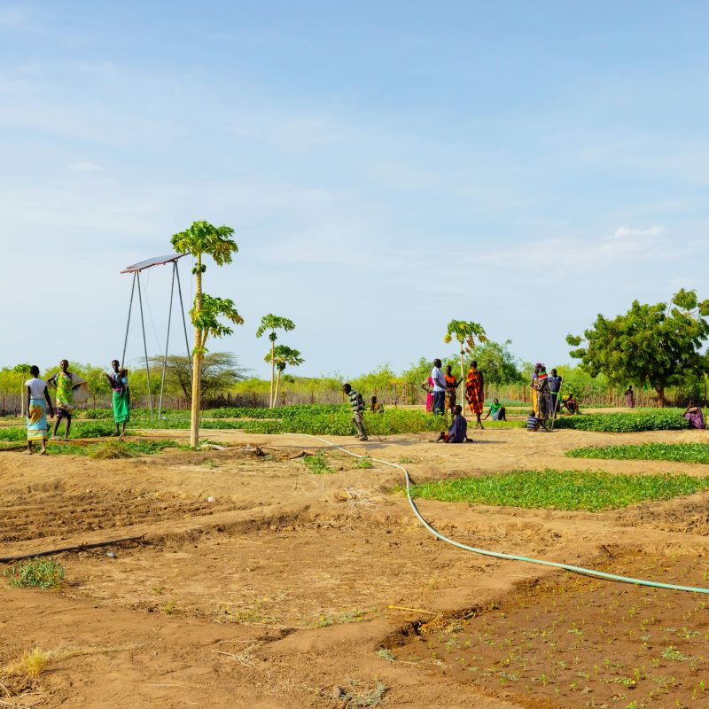 ADRA Canada Gift Catalogue - Empower Communities with a Solar Water Pump Kenya