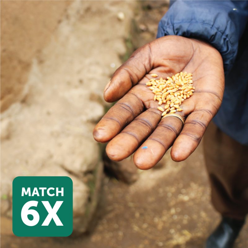 ADRA Canada Gift Catalogue Establish-a-Community-Based-Seedbank