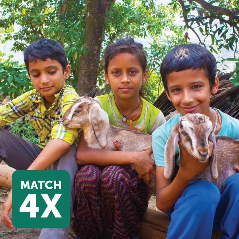 ADRA Canada Gift Catalogue - Goats-and-Chickens-for-Nutrition-and-Income