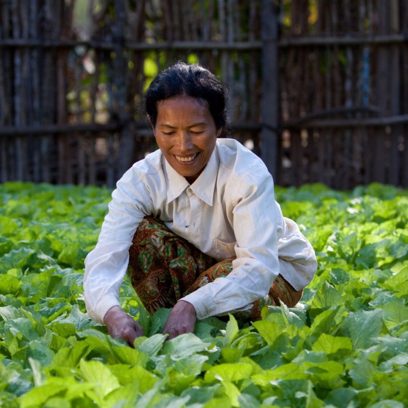 ADRA Canada Gift Catalogue Becoming Food Secure