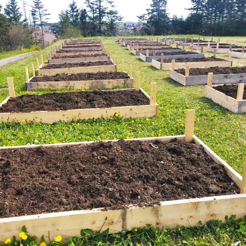 ADRA Canada Gift Catalogue Provide a Community Garden