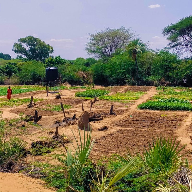 ADRA Canada Gift Catalogue - Plant Nursery Farm of a famrer group