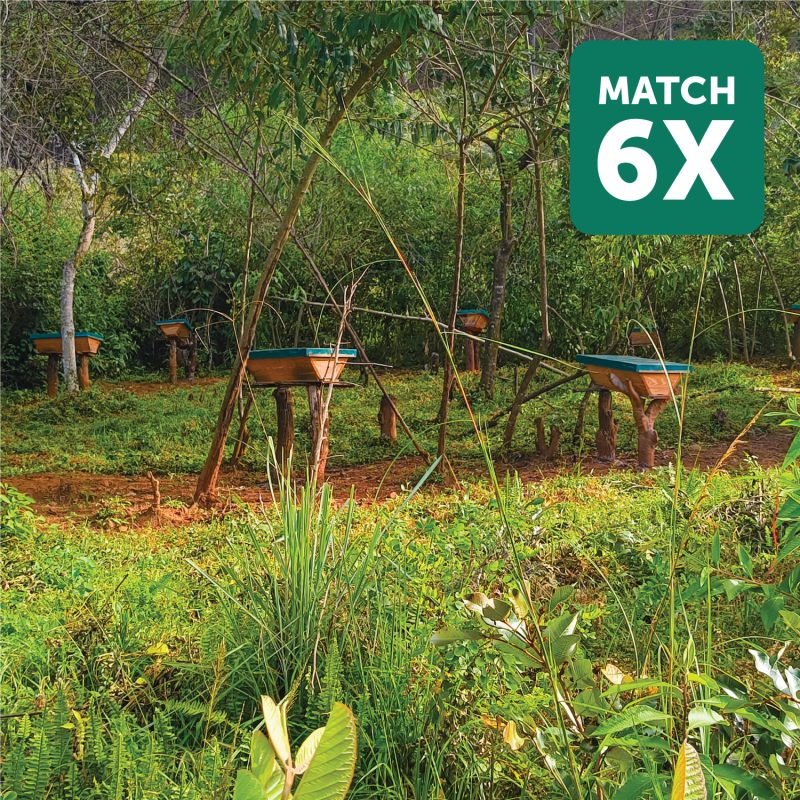 ADRA Canada gift Catalogue - Provide-Beehives-for-Female