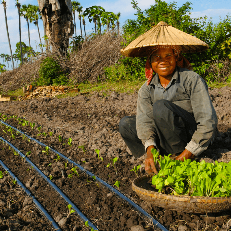 ADRA Canada Gift Catalogue - Provide a Drip Irrigation Set