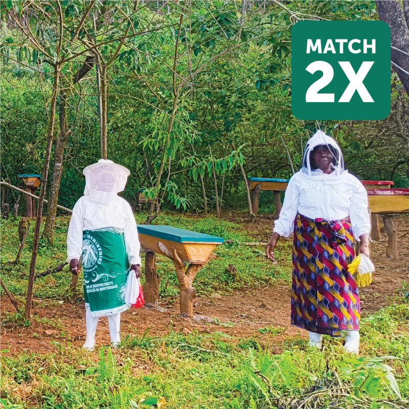 ADRA Canada Gift Catalogue - Support-Female-Farmers-with-Beehives