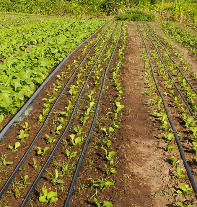 ADRA Canada Gift Catalogue - Water Filter and Smart Irrigation Sets