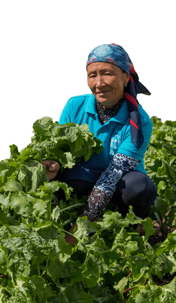 Thanksgiving 2025, ADRA Canada