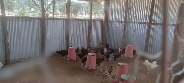 BRACE Project Changing lives in Kenya, ADRA Canada