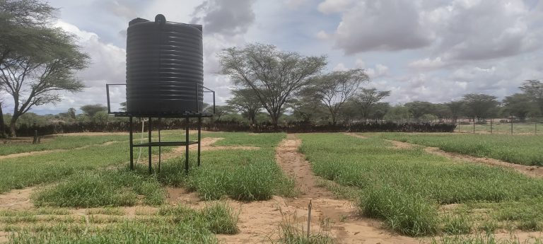 BRACE Project Changing lives in Kenya, ADRA Canada