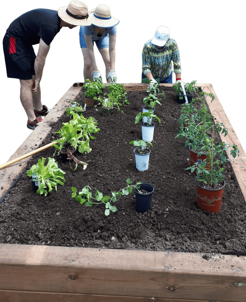 Environmental Stewardship, ADRA Canada